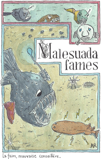 malesuada fames