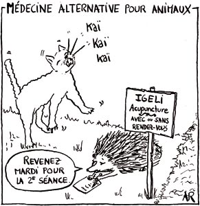 Acupuncture