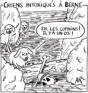 chiens