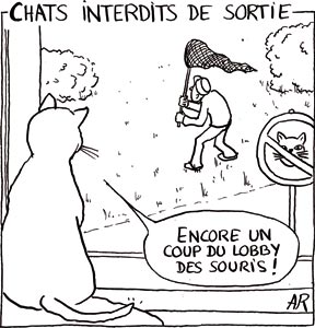 Courrier de Berne, chats interdits de sortie